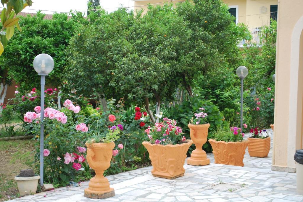 Dominoes Corfu 3* Ýpsos